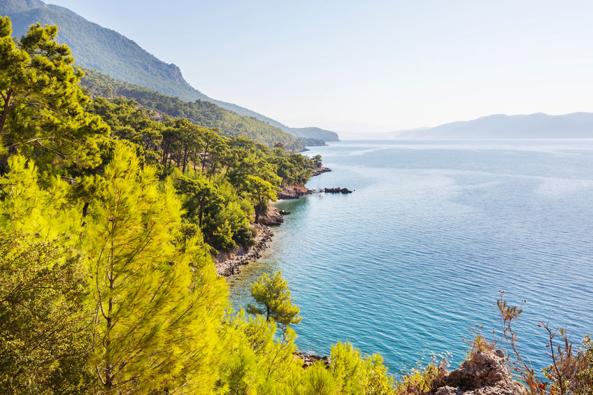 Deniz tarafındaki ormanlık alanlar turizme açıldı